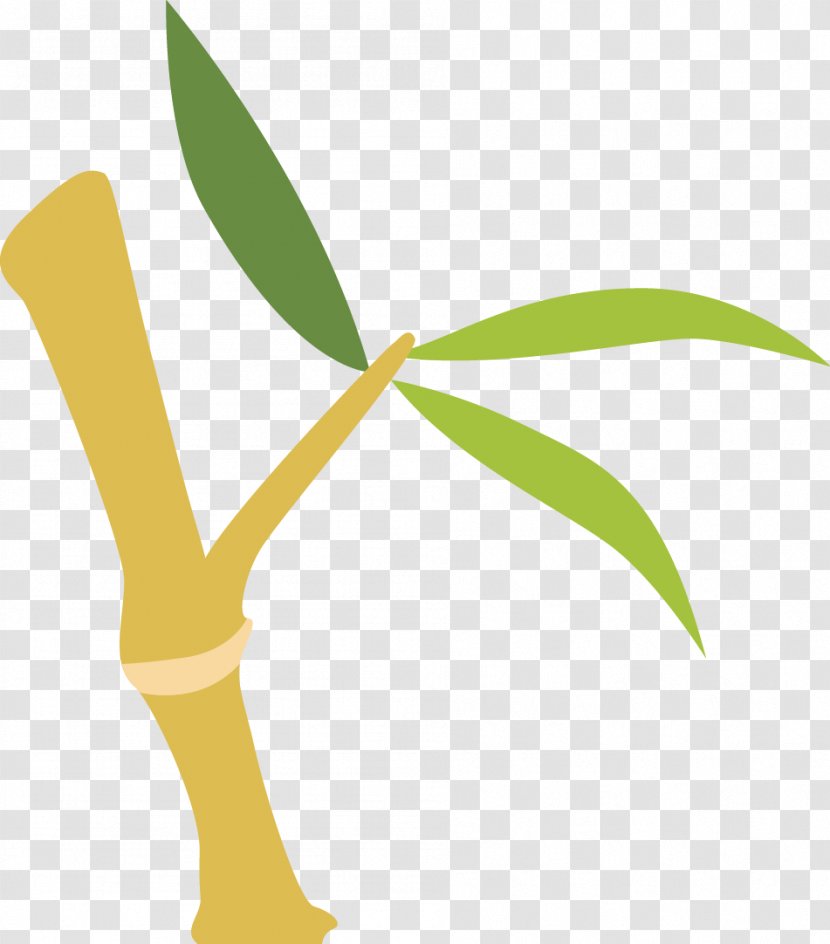 Bamboo - Brand - Hand Painted Transparent PNG