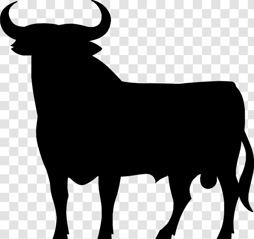 Spanish Fighting Bull Spain Brandy Osborne Group - Terrestrial Animal - Sherry Transparent PNG