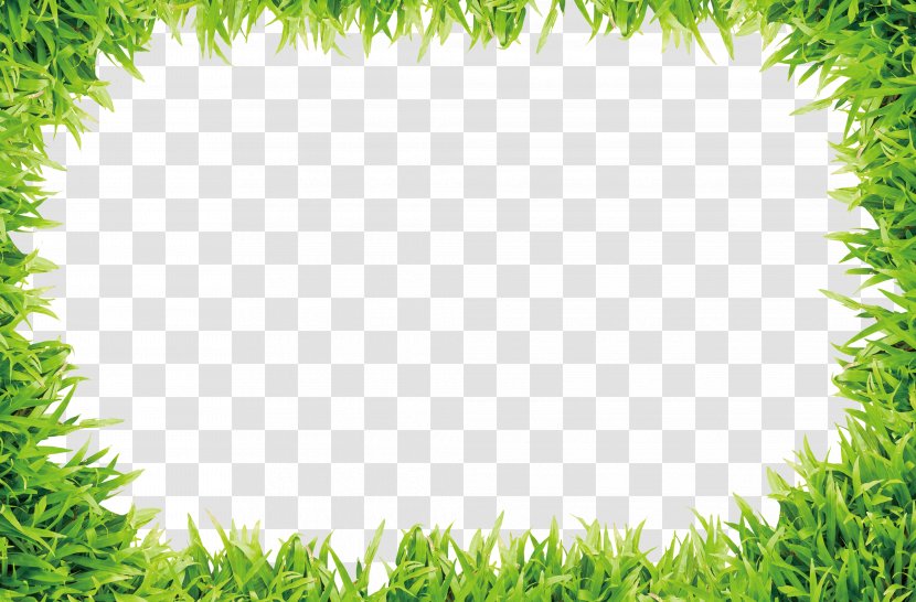 Lawn Download Image File Formats - Picture Frame - Small Grass Material Transparent PNG