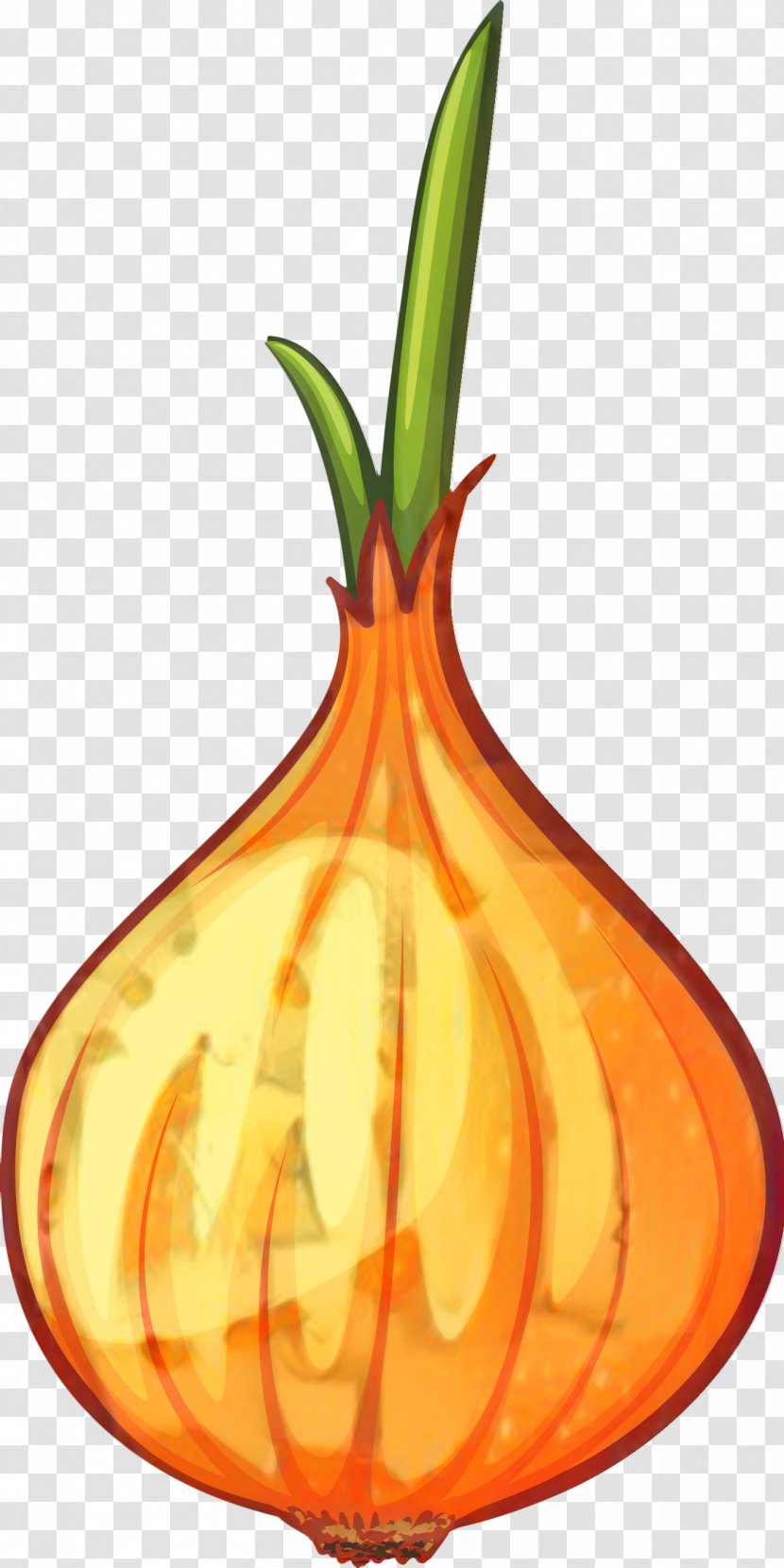 Pumpkin Gourd Calabaza Winter Squash - Amaryllis Family - Orange Transparent PNG