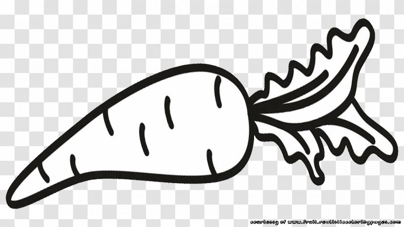 Vegetable Carrot Fruit Clip Art - Cartoon - 50 Transparent PNG