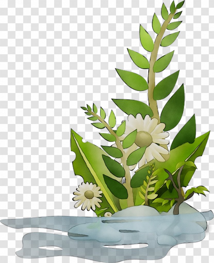 Floral Design Logo Flowerpot Aquarium Transparent PNG