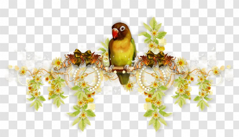 Picture Frames Photography Clip Art - Bird - BOISSONS Transparent PNG