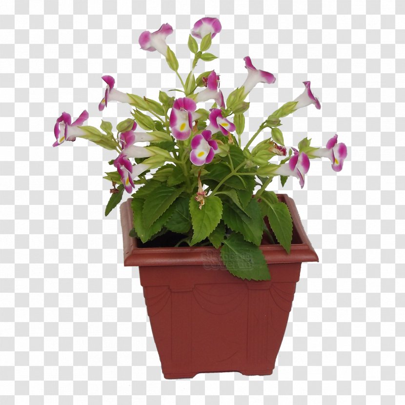 Flowerpot Ceramic Violet Color Centimeter - Nền Transparent PNG