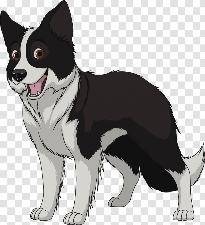 Border Collie Poppys Paws Rough Breed - Paw - Dog Transparent PNG