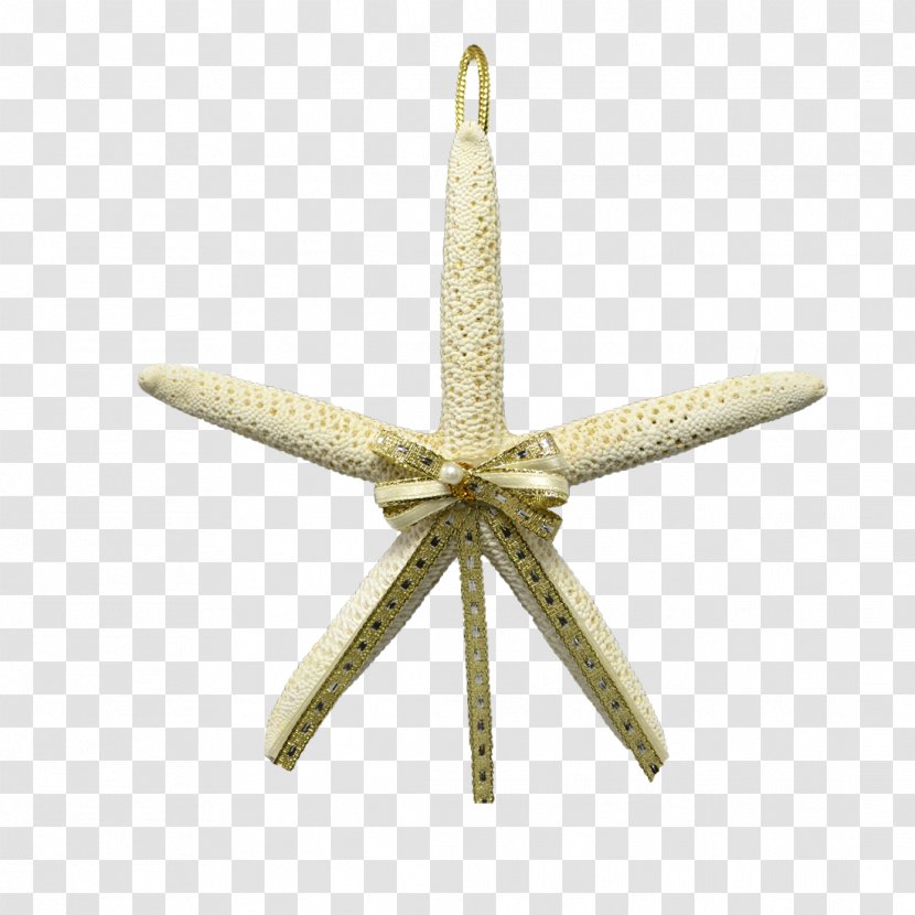 Starfish Christmas - Echinoderm - Shells And Transparent PNG