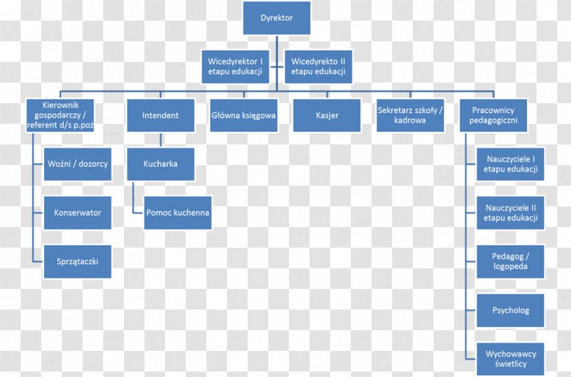 Organizational Structure Manufacturing Flowchart Diagram - Marketing - Brand Transparent PNG