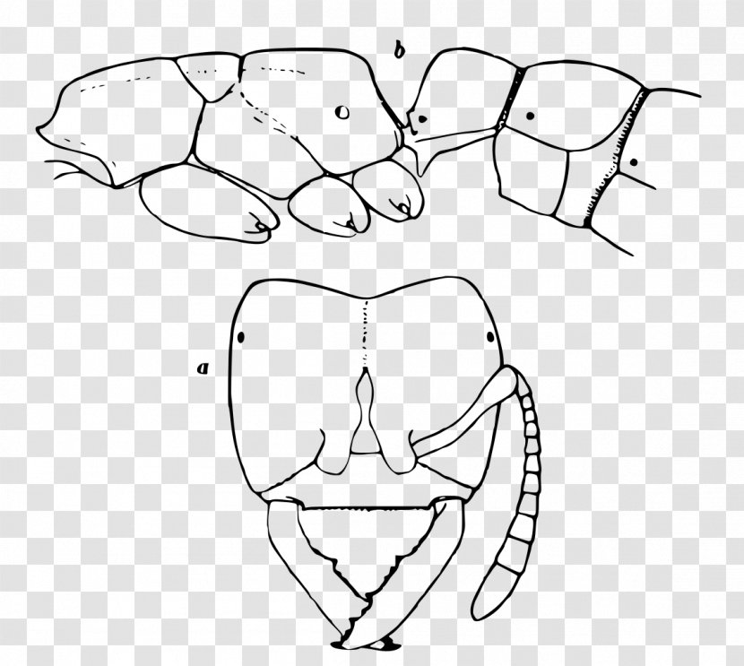 Finger Line Art Mouth Sketch - Cartoon - Three Wheeler Transparent PNG