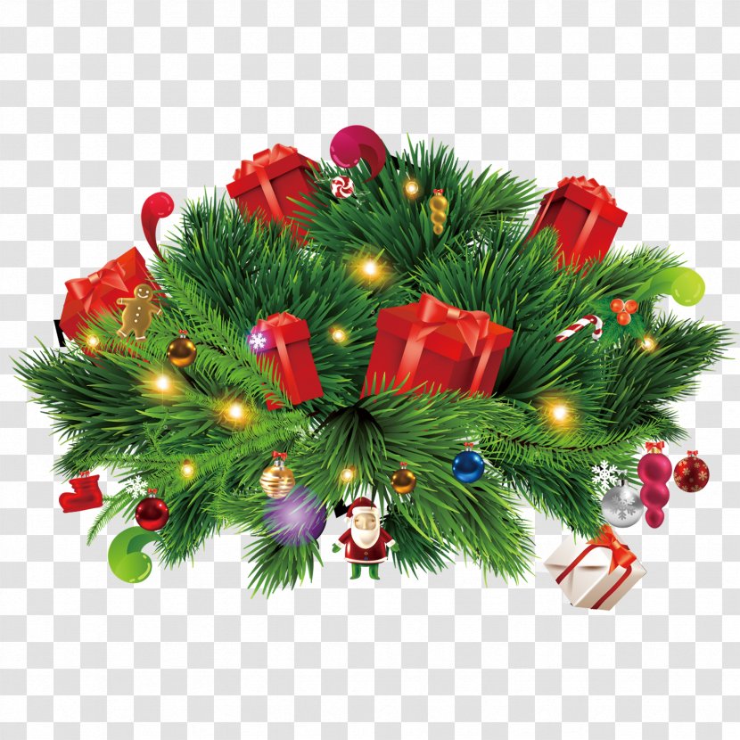 Christmas Tree Gift - Pine Family - Spree Transparent PNG