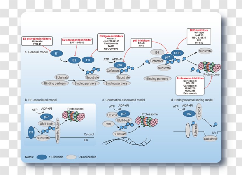 Brand Technology Diagram Transparent PNG