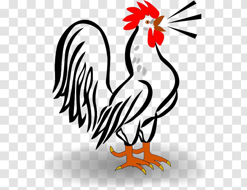 Rooster Clip Art - Bird - Chicken Transparent PNG
