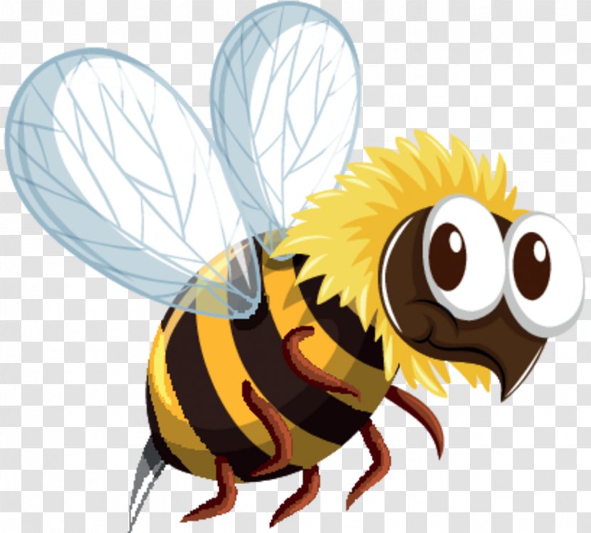 Bee Stock Illustration Vector Graphics Image - Honeybee - Royalty Payment Transparent PNG