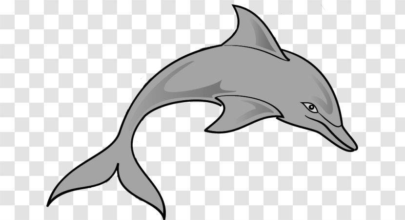 Spinner Dolphin Diving Dolphins All About Clip Art - Mammal - Cliparts Transparent PNG