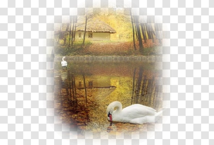 Animaatio Photography Yandex Search - Beak - Colibri Paint Transparent PNG
