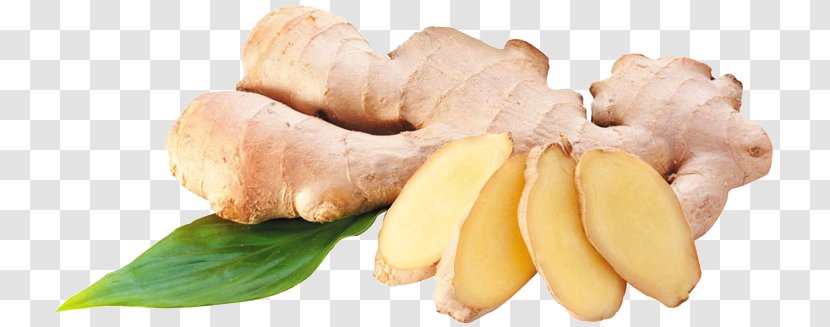 Ginger - Vegetable - Ingredient Transparent PNG