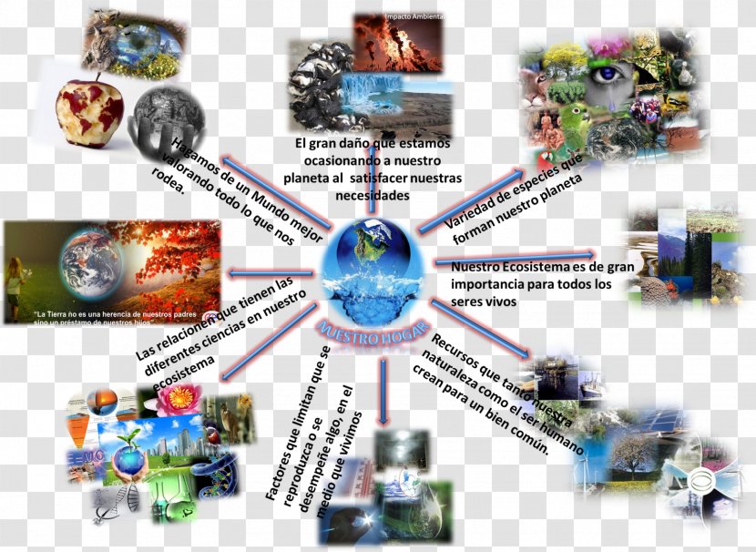 Sustainable Development Ecology Natural Environment Sustainability Map - Cuadro Sin%c3%b3ptico Transparent PNG