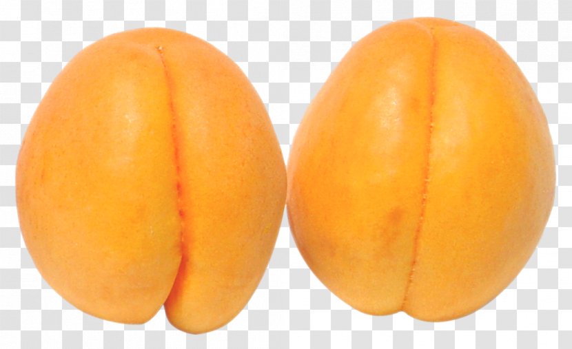 Apricot Clip Art - Cucurbita - Two Apricots Transparent PNG