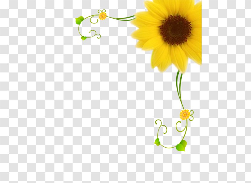 Common Sunflower Motif Pattern - Travel Service Transparent PNG