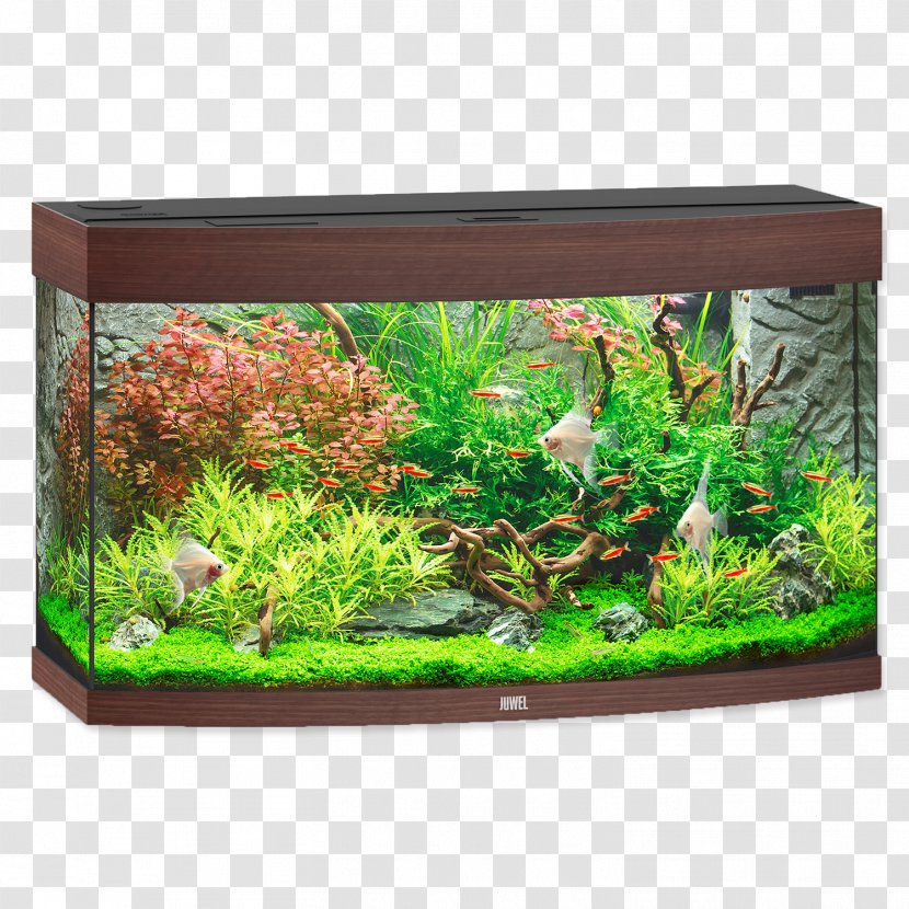 Tropical Aquariums Lighting Fish - Cabinetry - Aquarium Transparent PNG