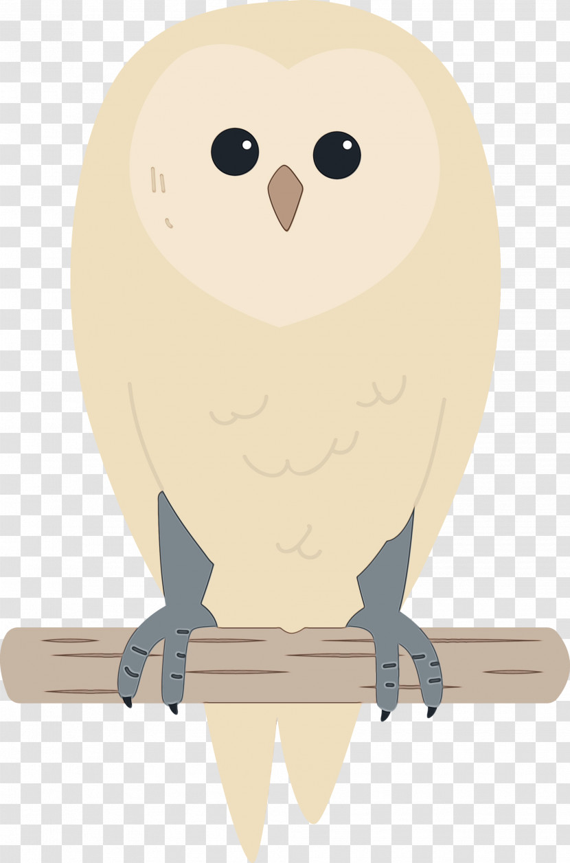 Owls Cartoon Beak Transparent PNG