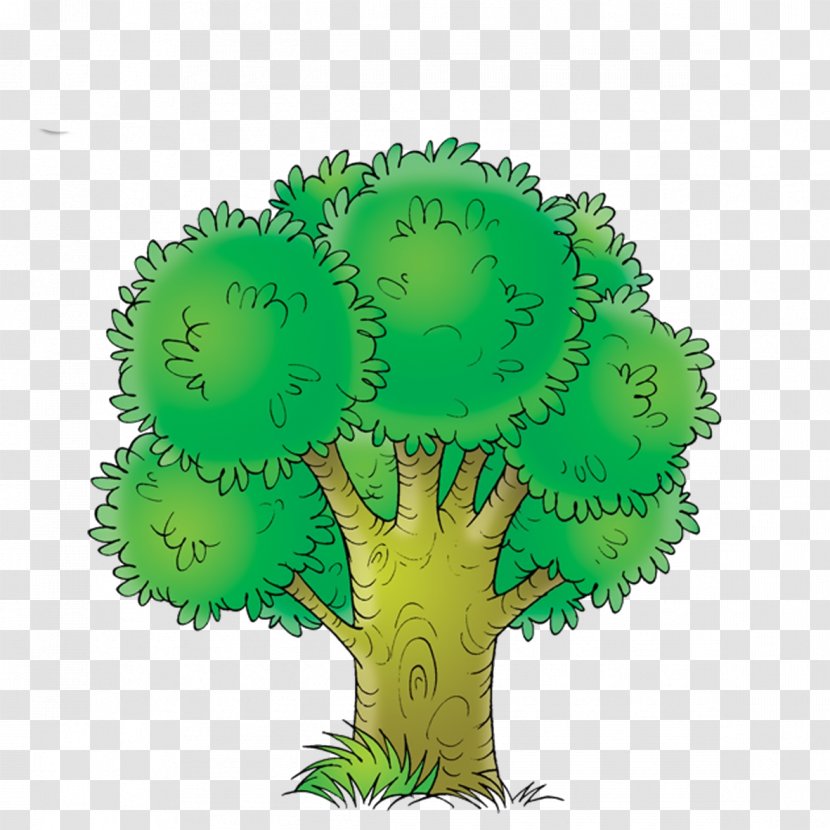 Tree Of Life Drawing Oak - Plant - TINKERBELL Transparent PNG