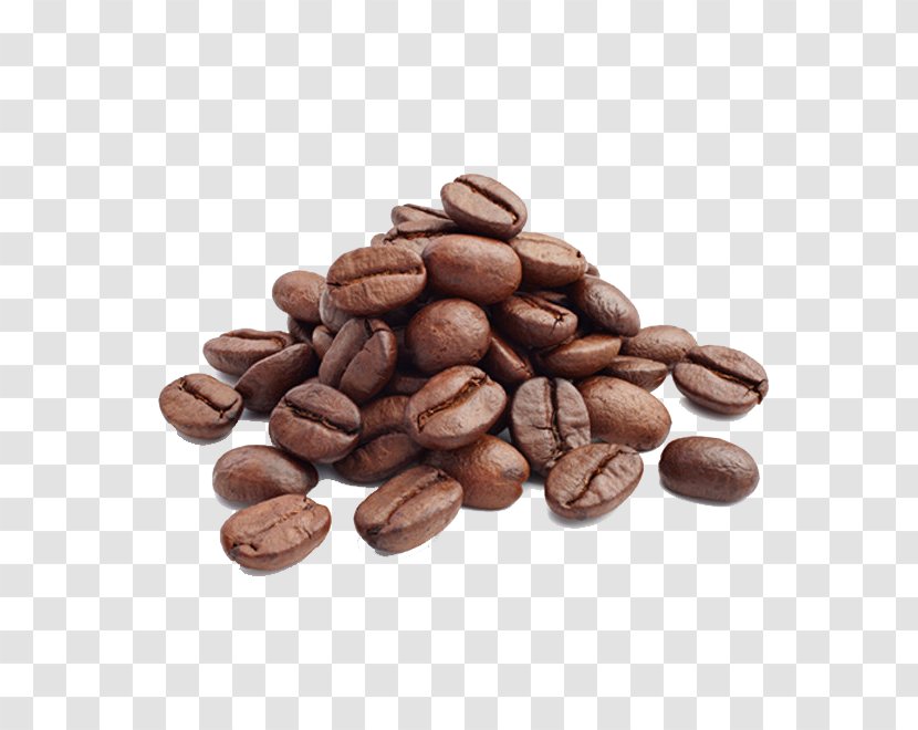 Arabica Coffee Cafe Bean Roasting - Coffea Liberica Transparent PNG