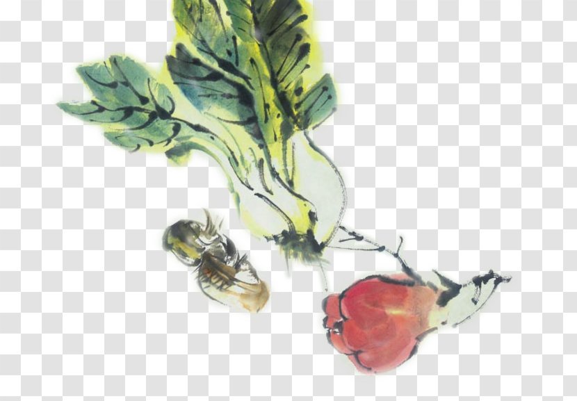 Cabbage Watercolor Painting Vegetable - Cartoon Transparent PNG