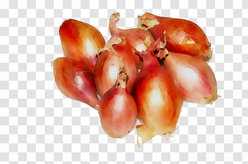 Plum Tomato Shallots Natural Foods Red Onion - Ingredient - Food Transparent PNG