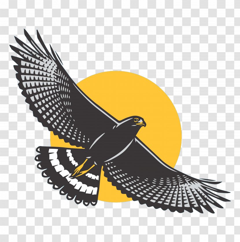 Bird Cartoon - Price - Condor Wing Transparent PNG