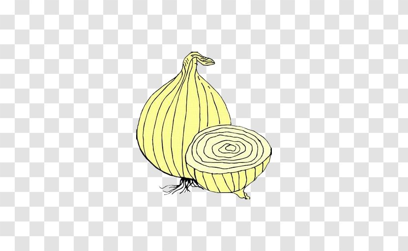 Onion Ausmalbild Vegetable - Snail - Cartoon Vegetables Transparent PNG