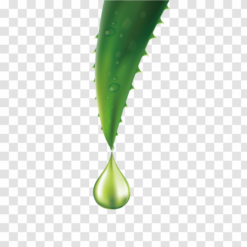 Aloe Vera Essential Oil - Drop - A Of Vector Material Transparent PNG