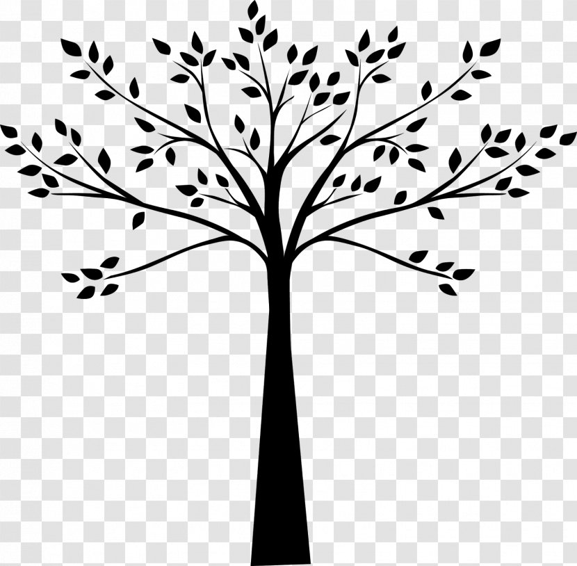 Tree Drawing Line Art Black And White - Plant Stem - Plum Transparent PNG
