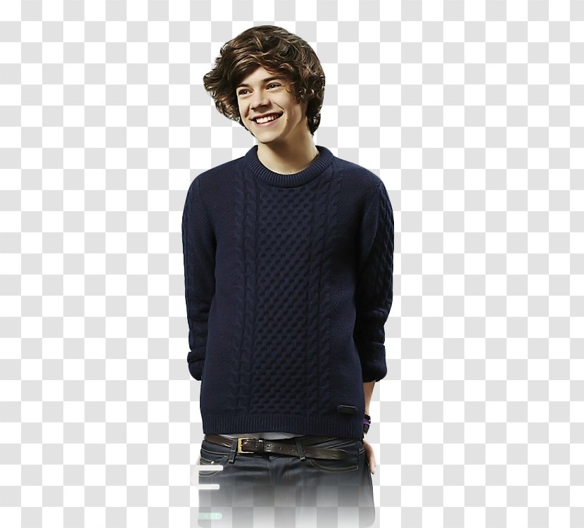 Harry Styles Take Me Home Tour The X Factor One Direction - Flower Transparent PNG