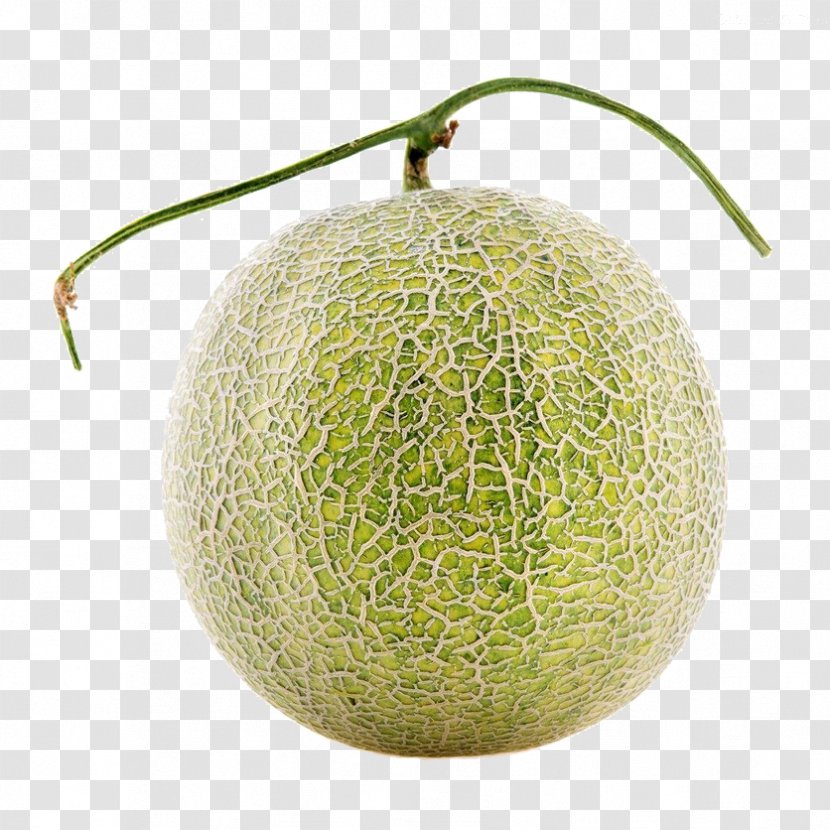 Honeydew Cantaloupe Galia Melon - Fresh Transparent PNG