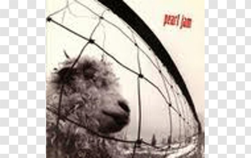 Pearl Jam Phonograph Record Ten LP Vitalogy - Dog Like Mammal Transparent PNG