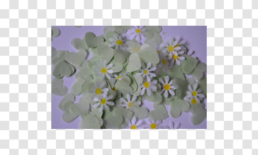 Petal Colony Of New Brunswick Common Daisy Confetti Tissue - Flowering Plant Transparent PNG