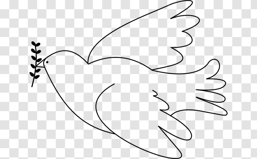 Rock Dove Columbidae Doves As Symbols Drawing Peace - Frame - Pattern Transparent PNG