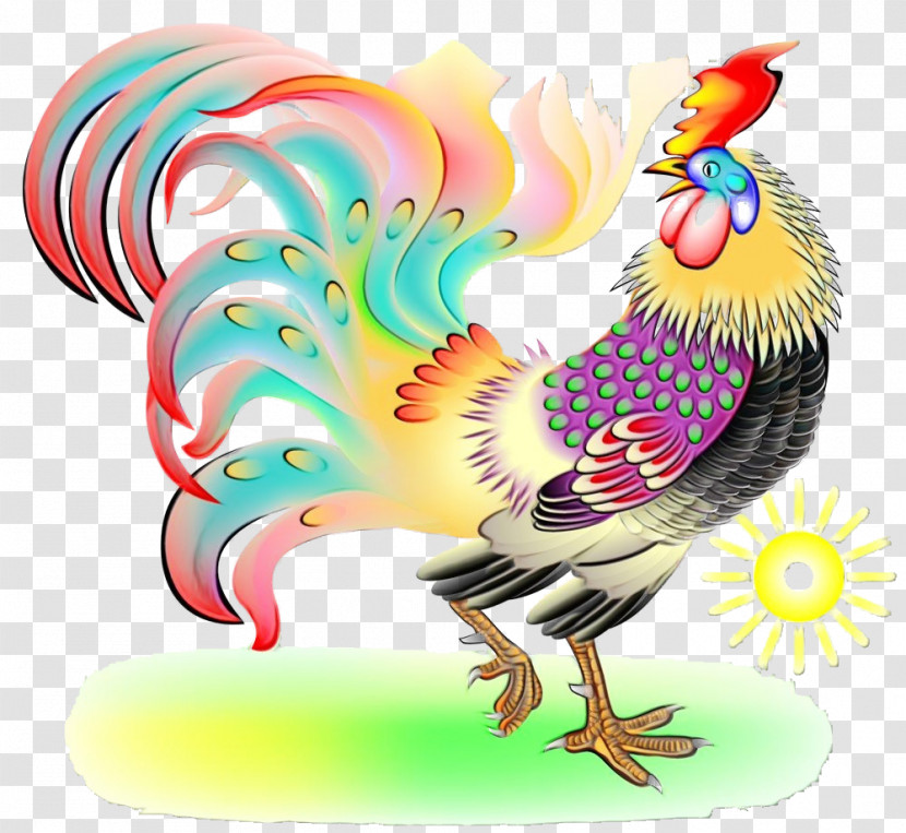 Chicken Bird Rooster Cartoon Comb Transparent PNG