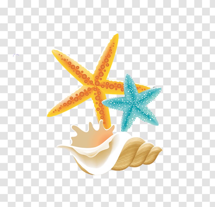 Starfish - Scalable Vector Graphics - Summer Theme,Summer Promotion,Icy Summer,Blue Sky,Baiyun,sunlight,hot Air Balloon,Spray,Starlight,starfish,glacier,seawater Transparent PNG