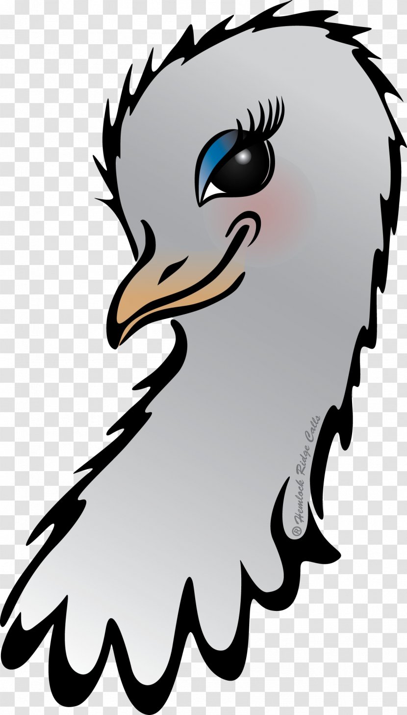 Beak Bird Of Prey Clip Art Transparent PNG