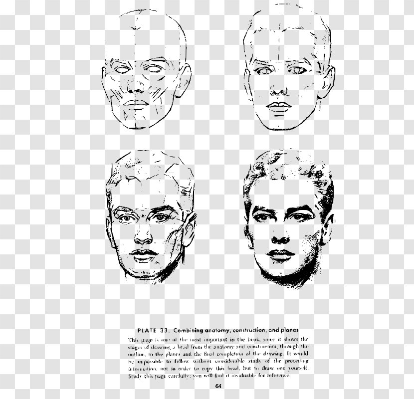 Andrew Loomis Drawing The Head And Hands Human Anatomy - Watercolor - Method Transparent PNG