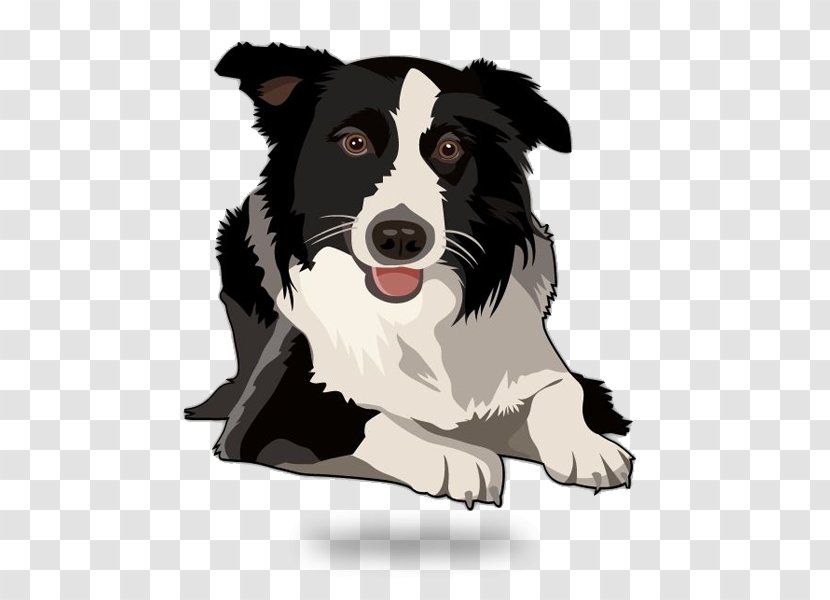 Border Collie Rough Old English Sheepdog Shetland Puppy - Dog Breed - Agility Transparent PNG