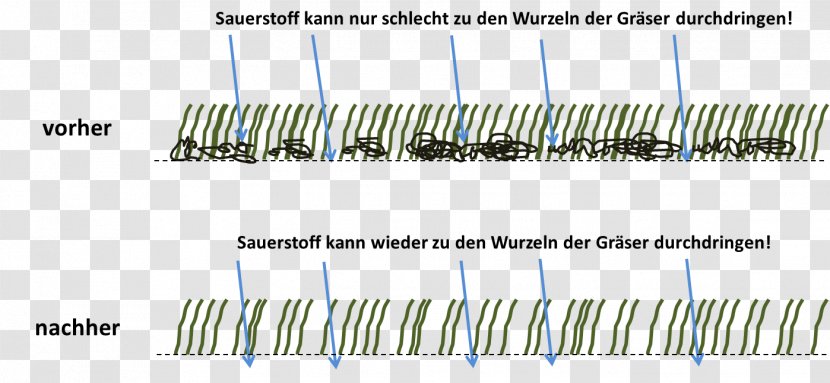 Vertikutieren Dethatcher Lawn Garden Rake - Passive Circuit Component - Rasen Transparent PNG