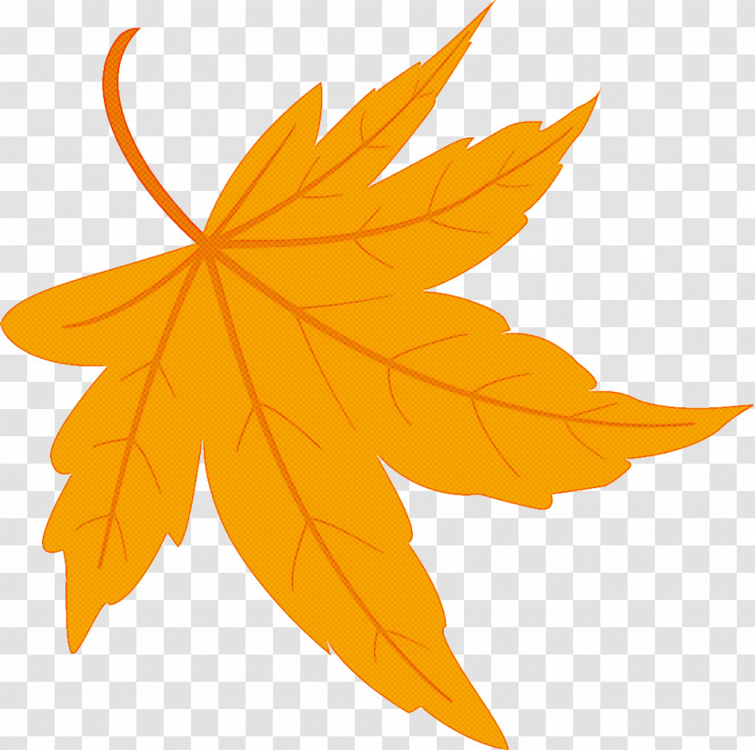 Maple Leaf Fallen Leaf Dead Leaf Transparent PNG