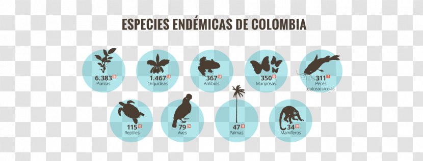 Biodiversity Of Colombia Alexander Von Humboldt Biological Resources Research Institute International Day For Diversity - Species - Aves Silvestres Transparent PNG