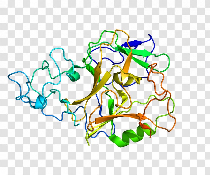 SETMAR Gene Knockout Mouse Clip Art - Organism - Enzyme Transparent PNG