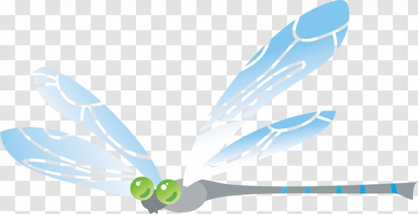Drawing Dragonfly - Button Transparent PNG