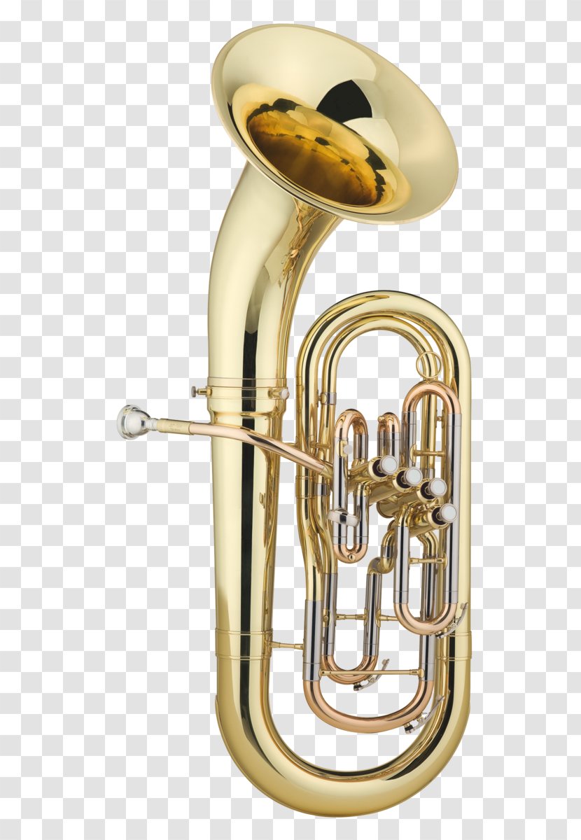 Baritone Horn Brass Instruments Musical Sousaphone - Tree - Pipes Transparent PNG