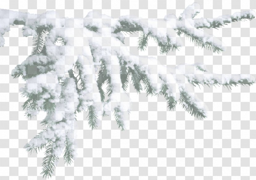 Snow Blog Clip Art - Winter Transparent PNG