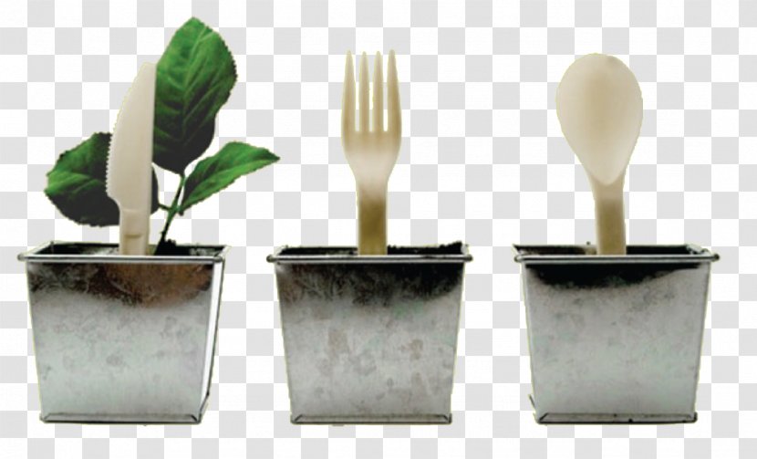 Biodegradable Plastic Envase Corn Starch Recycling - Maize - Biodegradation Transparent PNG